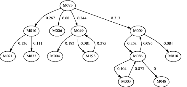 Human network